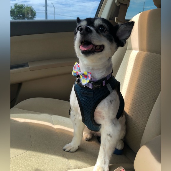 🖤 oceanside 🖤 - Picture 2 of 2